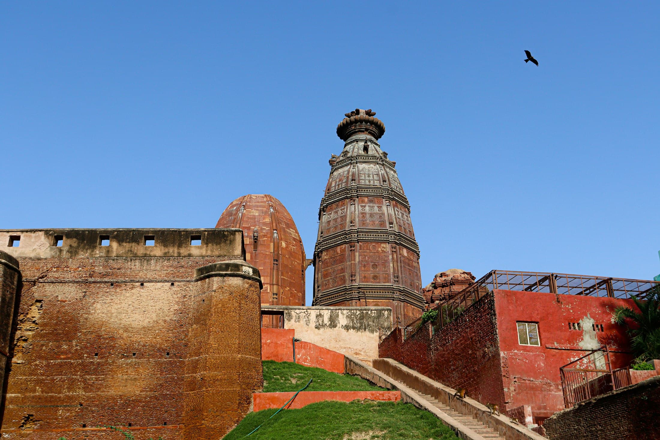 An old red sandstone temple shikhara above a wall, a bird crossing the sky