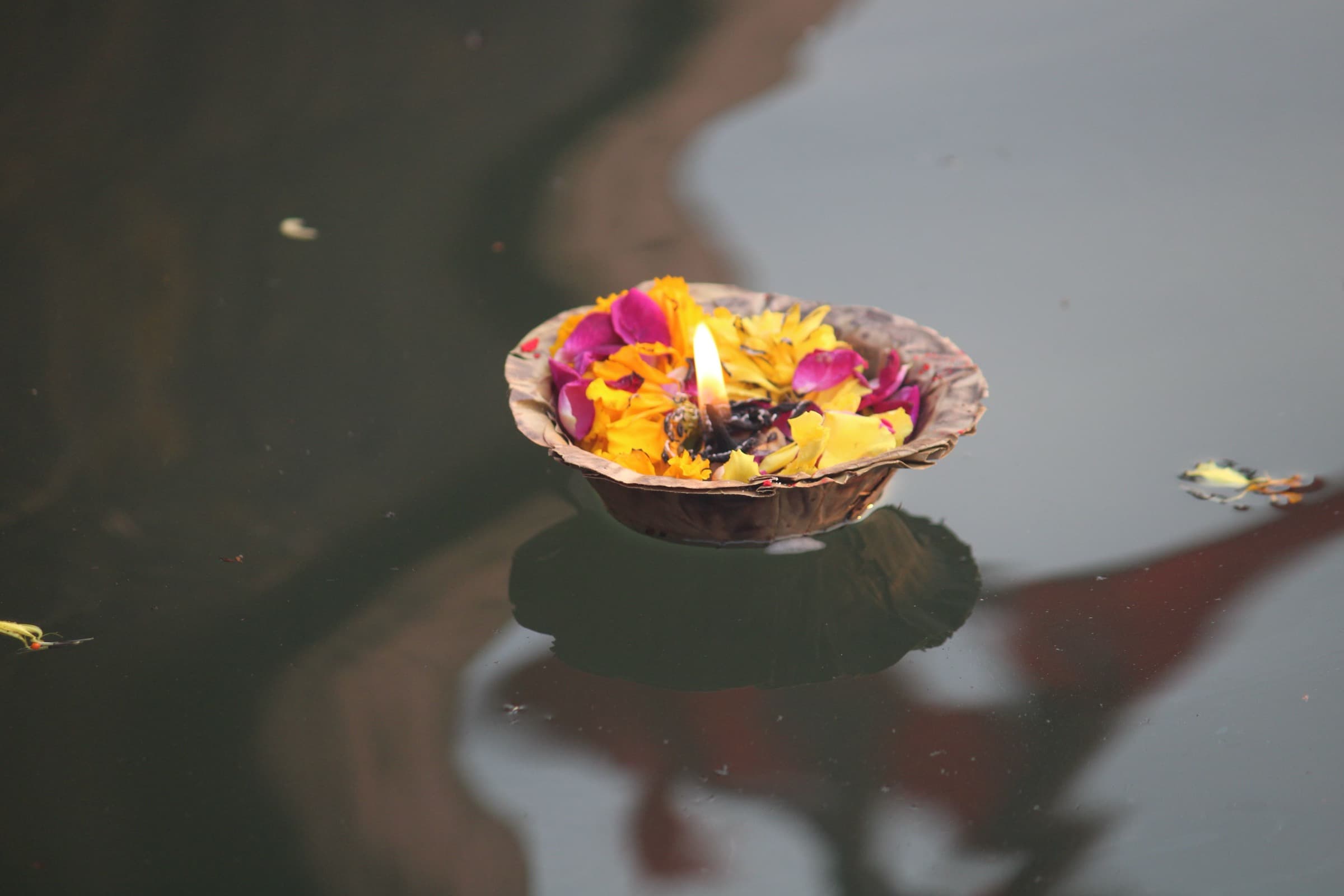 A leaf bowl of marigold and rose petals carrying a lit diya, adrift on the Yamuna