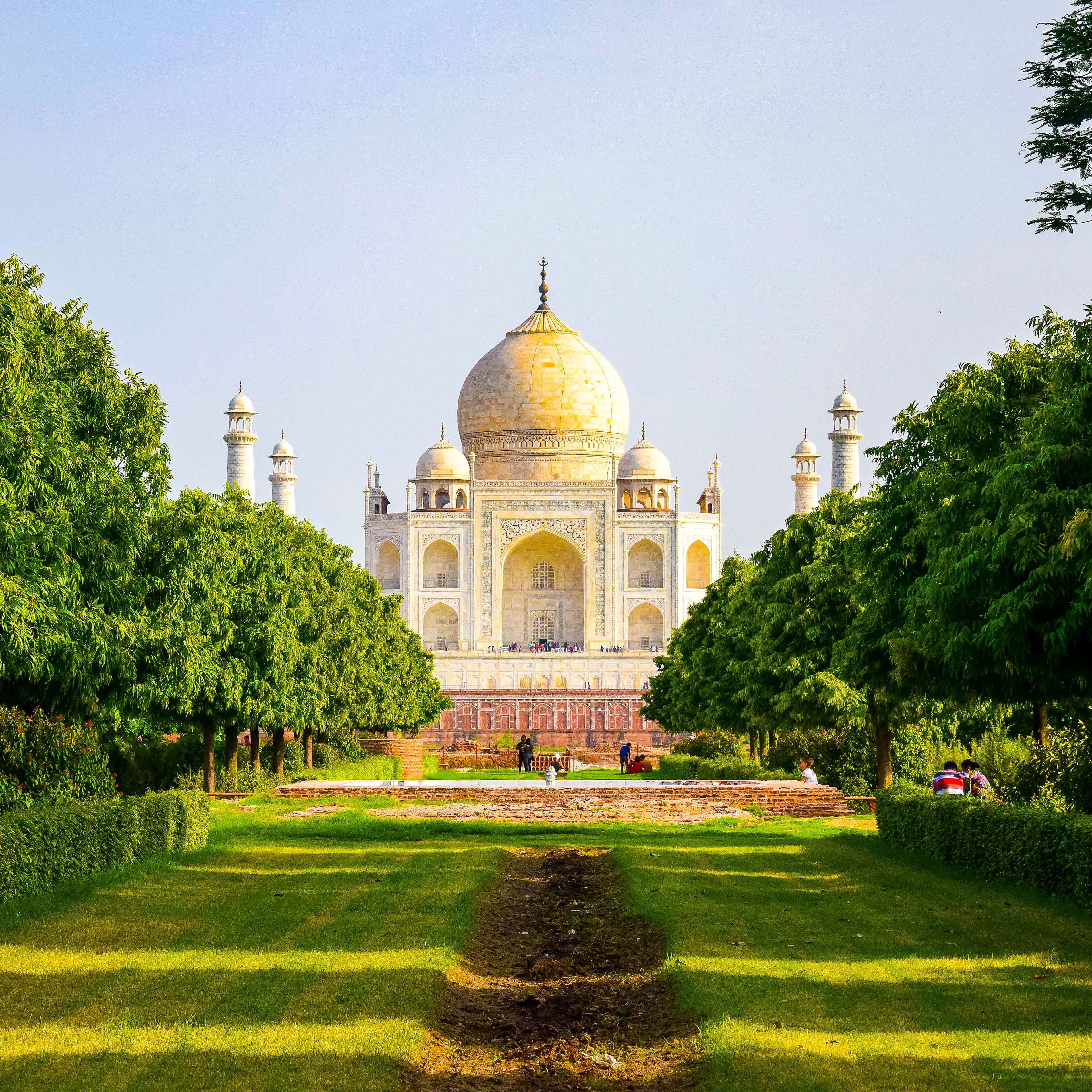 The Taj Mahal seen across the gardens of Mehtab Bagh, framed by trees